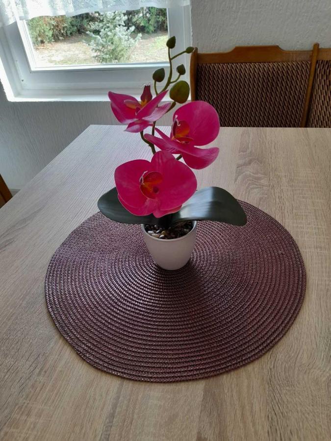 Apartment Ildiko Subotica Zewnętrze zdjęcie